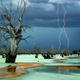 Illustration for article titled These are National Geographic's favorite images of the year